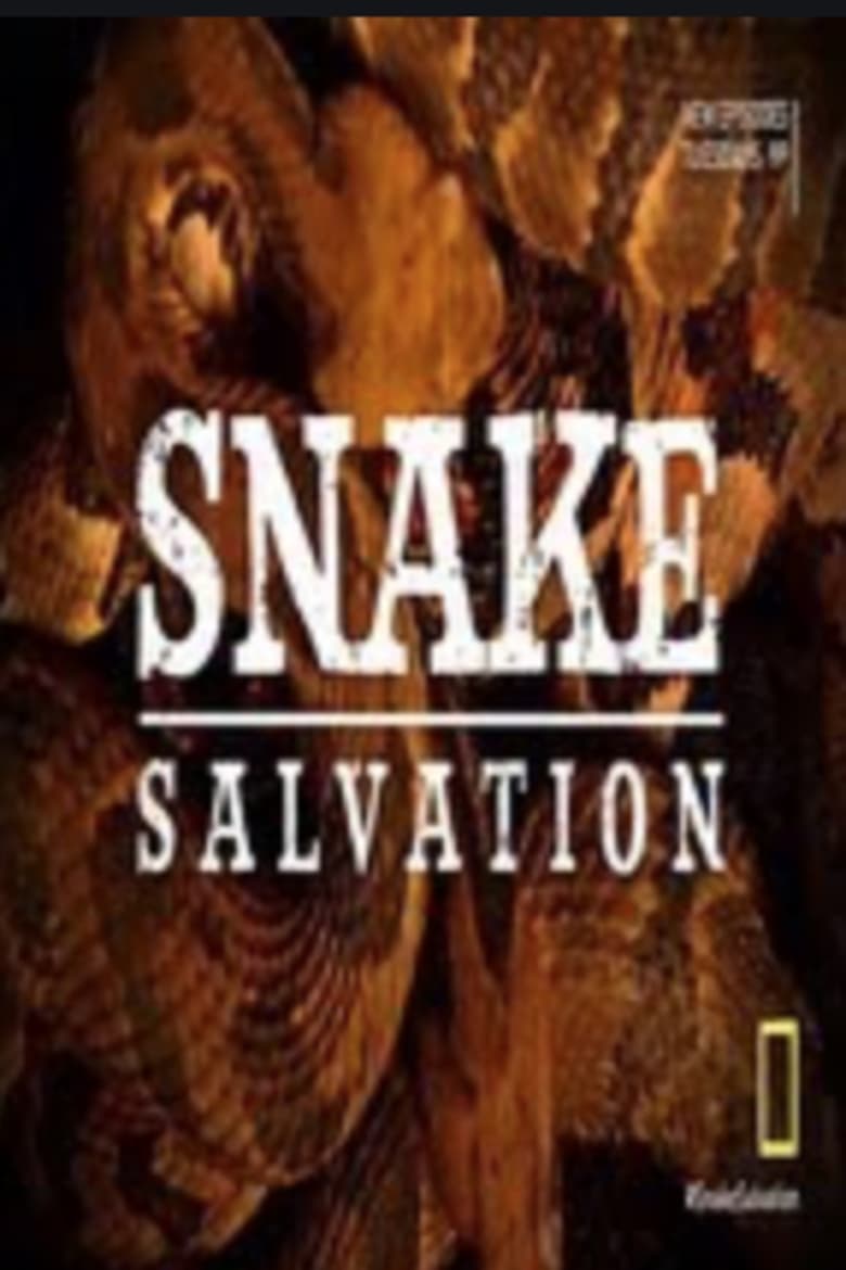 Poster of Snake Salvation