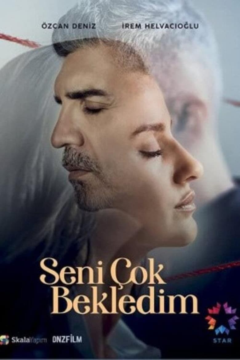 Poster of Seni Çok Bekledim