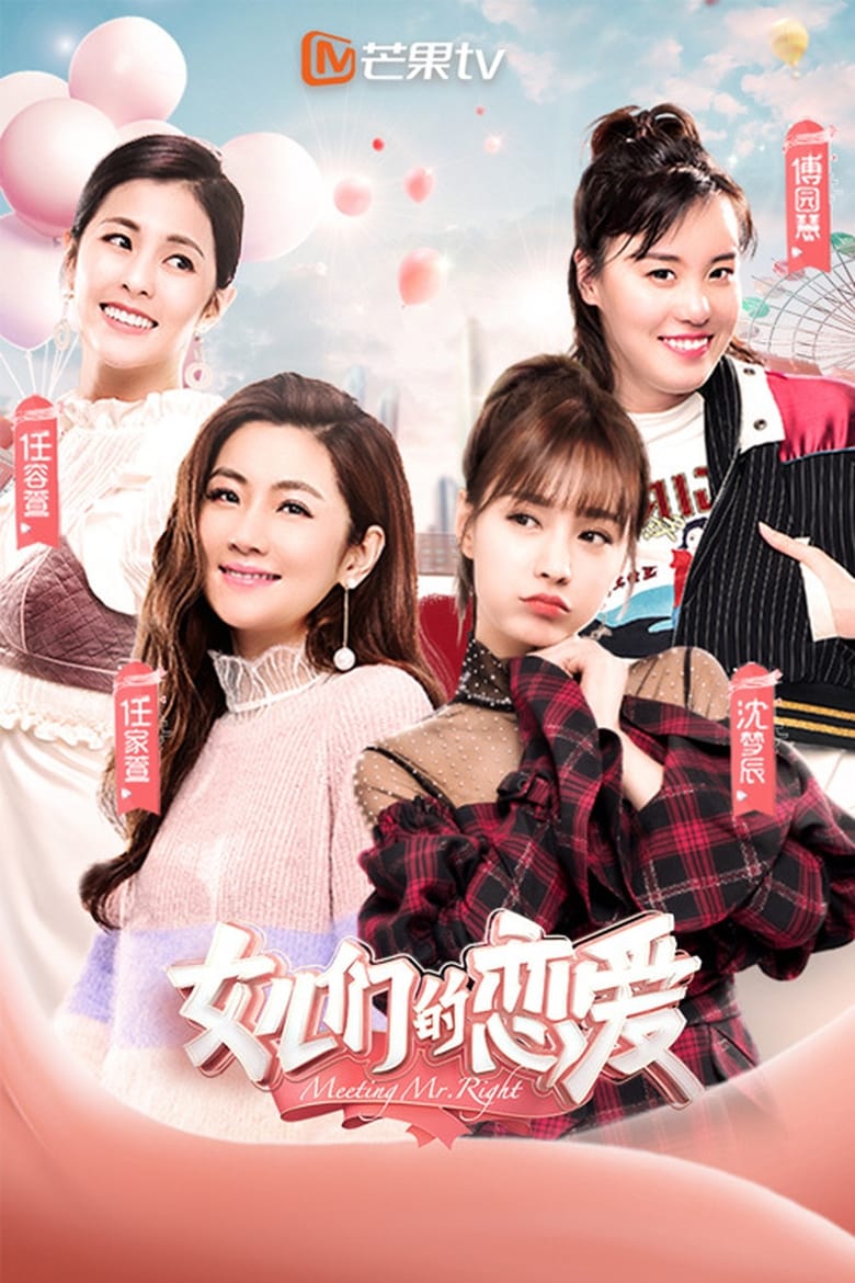 Poster of Meeting Mr. Right