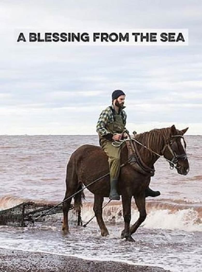 Poster of A Blessing from the Sea