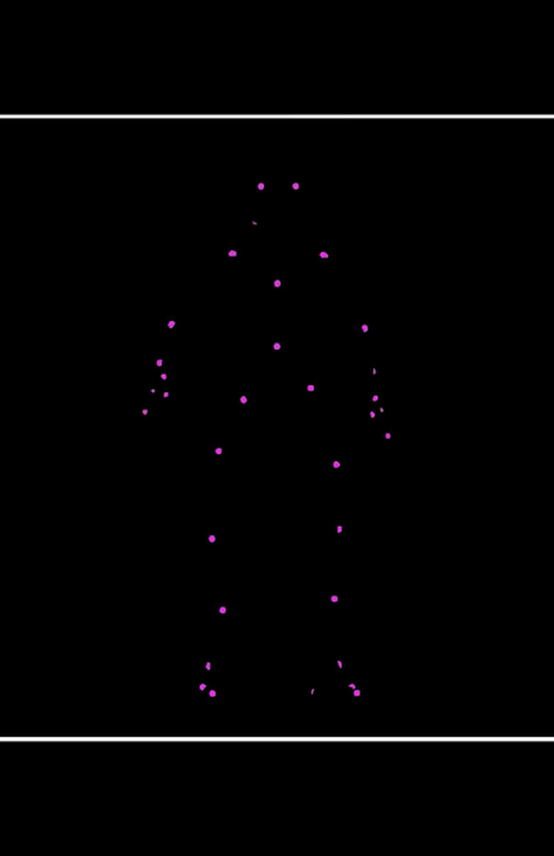 Poster of Network Reconstruction Of Nematode Symbionts