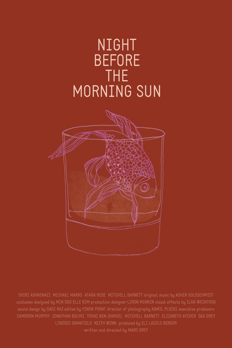 Poster of Night Before the Morning Sun