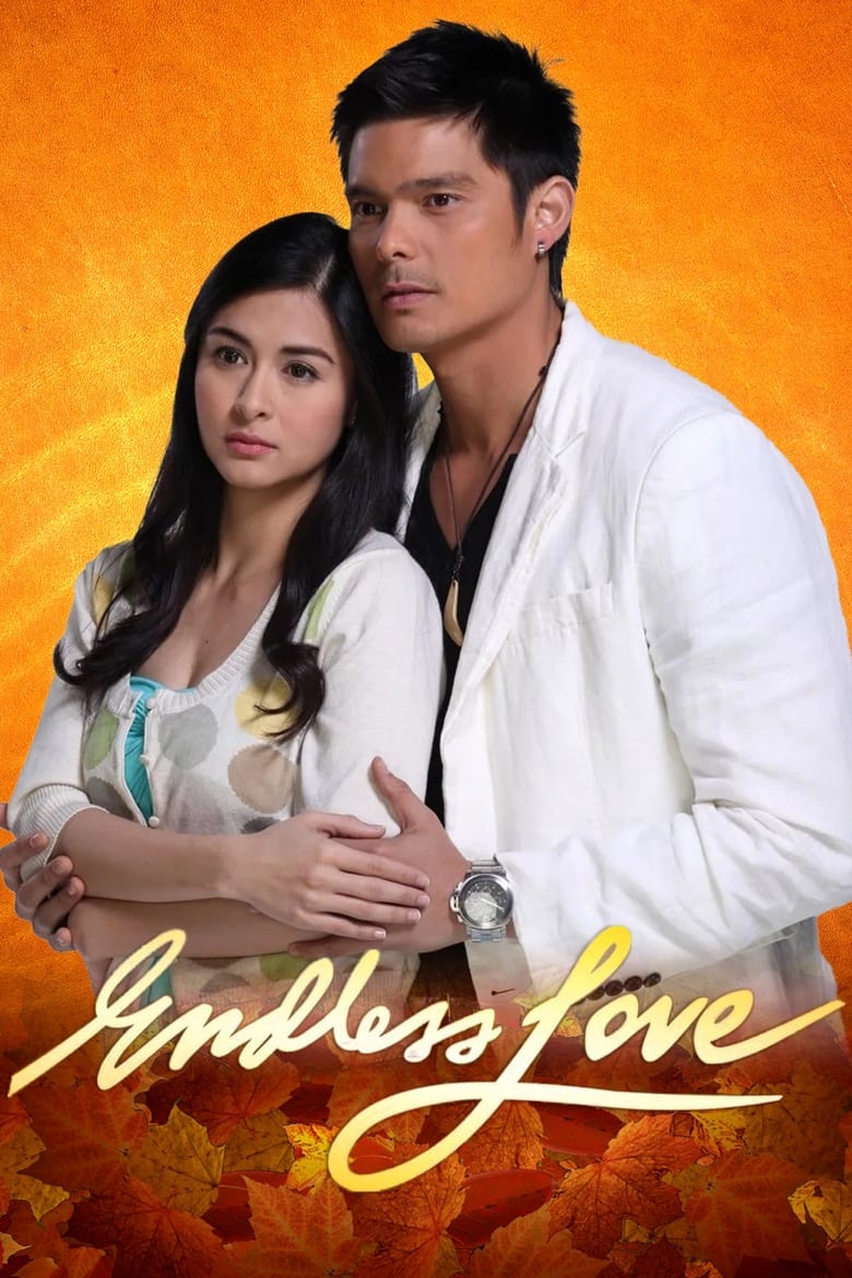 Poster of Episodes in Endless Love - Endless Love - Endless Love