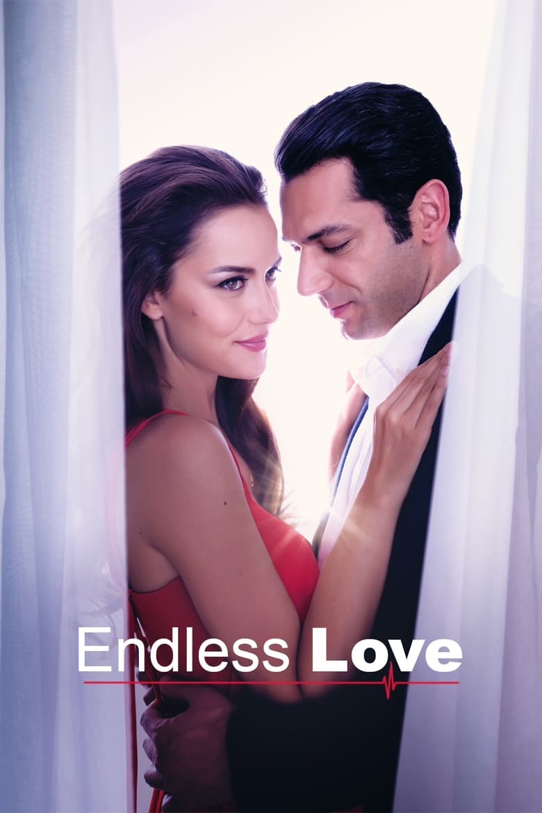 Poster of Endless Love