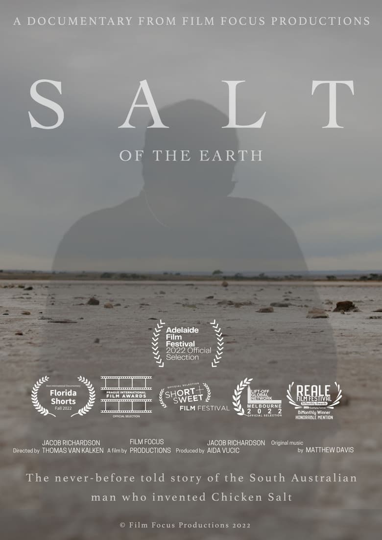 Poster of Salt of the Earth