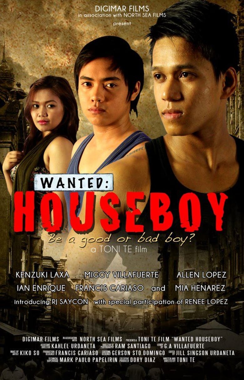 Poster of Wanted: Houseboy