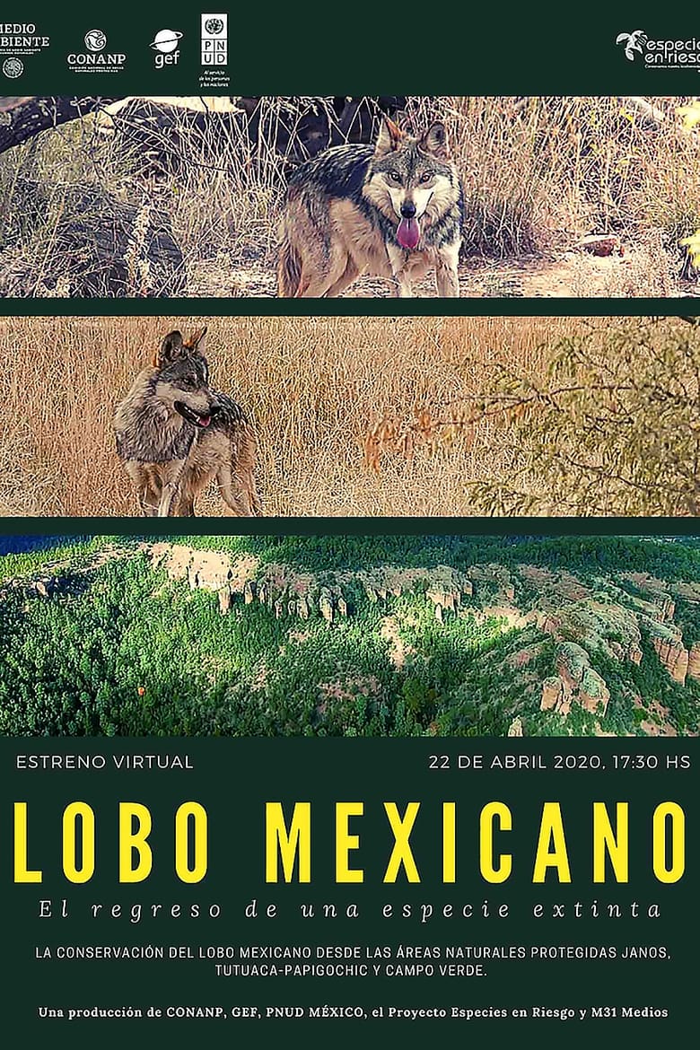 Poster of Lobo Mexicano