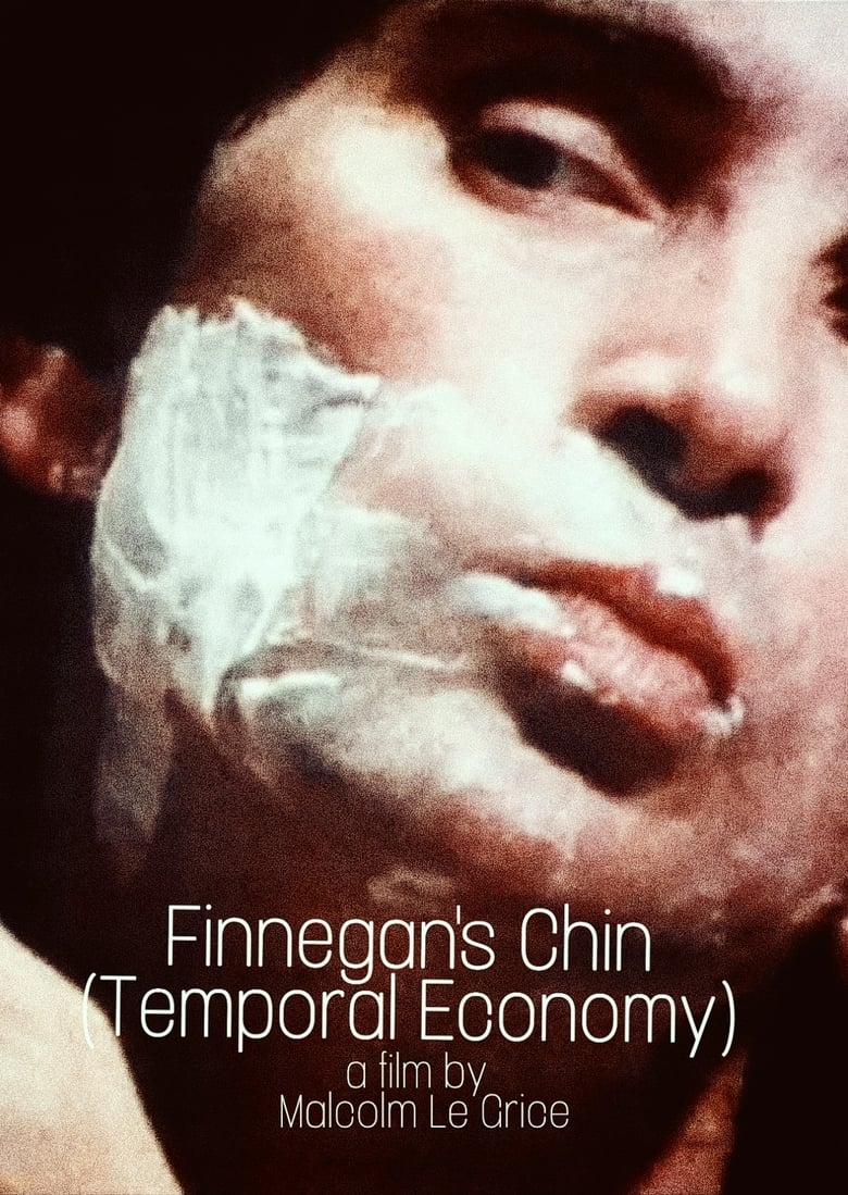 Poster of Finnegan's Chin