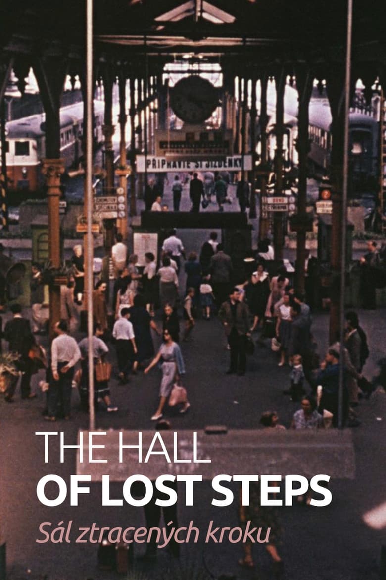 Poster of The Hall of Lost Steps