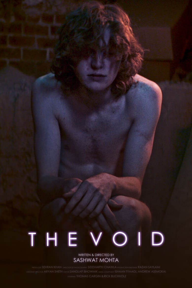 Poster of The Void