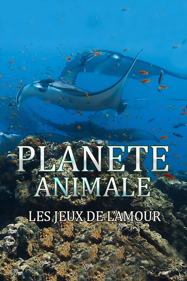 Poster of Planète Animale : Les jeux de l'amour