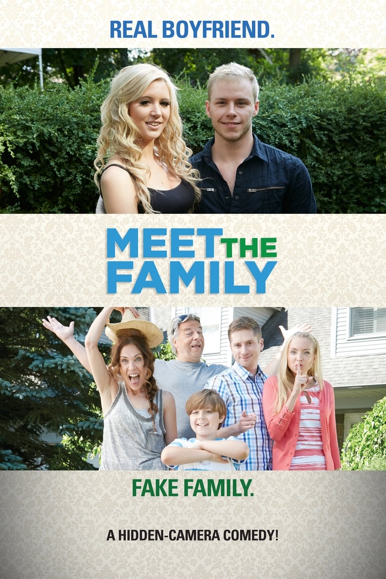 Poster of Meet the Family