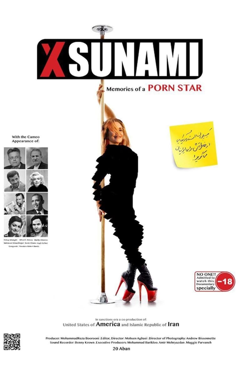 Poster of XSunami