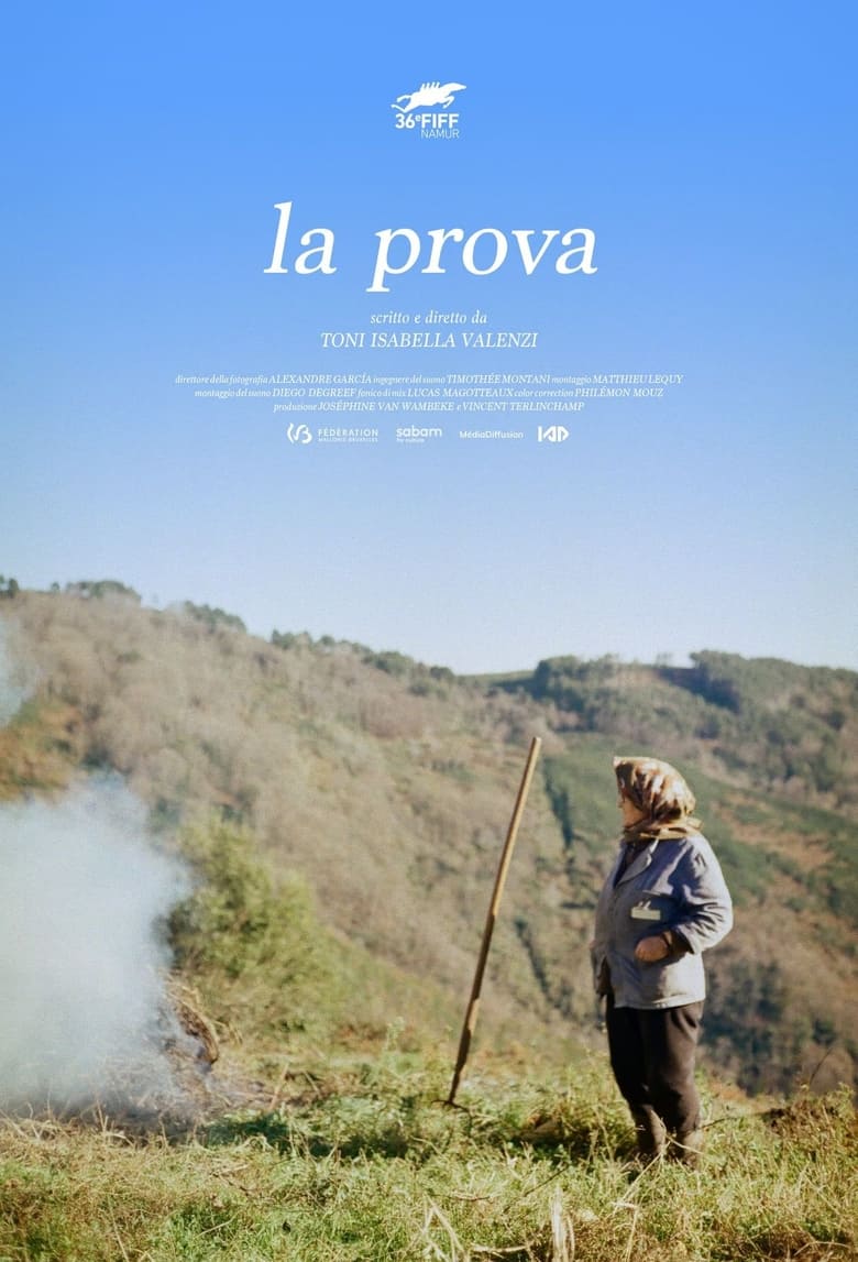 Poster of La Prova