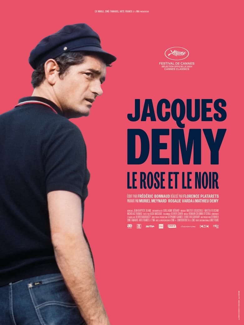 Poster of Jacques Demy: The Pink and the Black