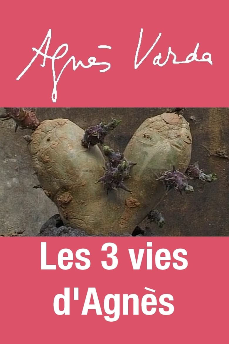 Poster of The 3 Lives of Agnès