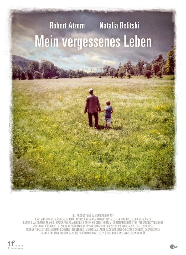 Poster of Mein vergessenes Leben