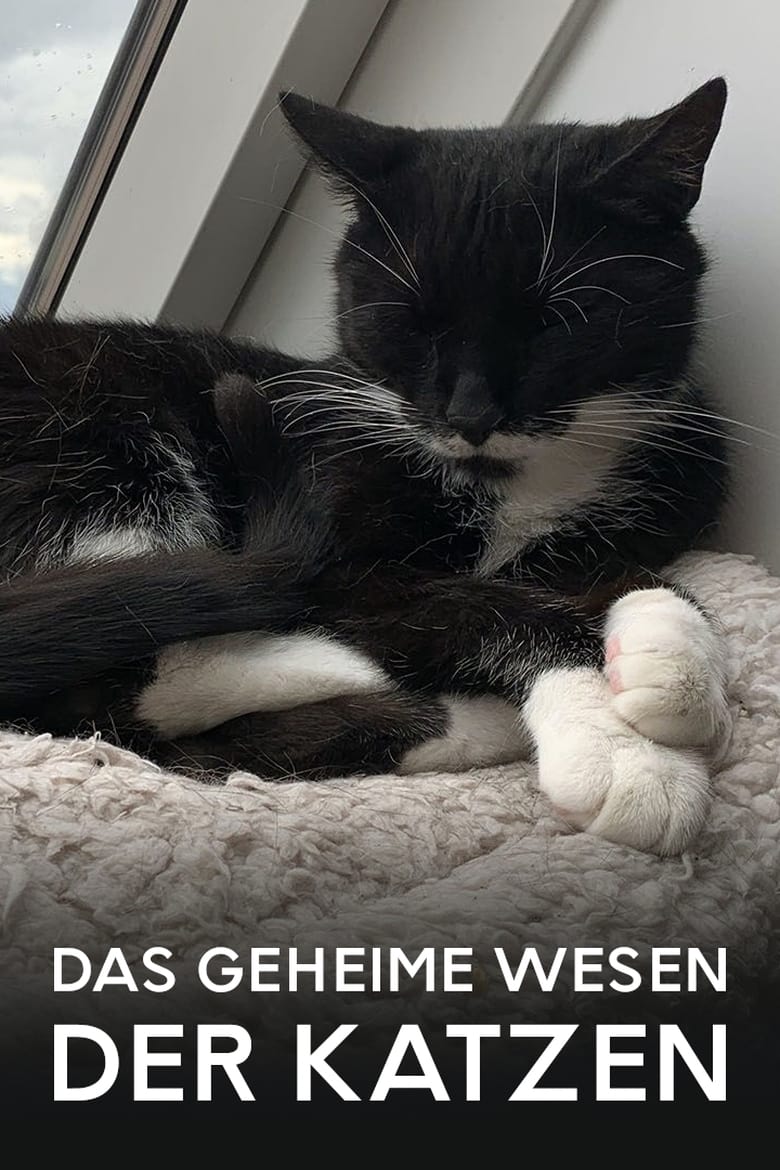 Poster of Das geheime Wesen der Katzen