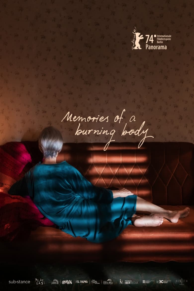 Poster of Memories of a Burning Body