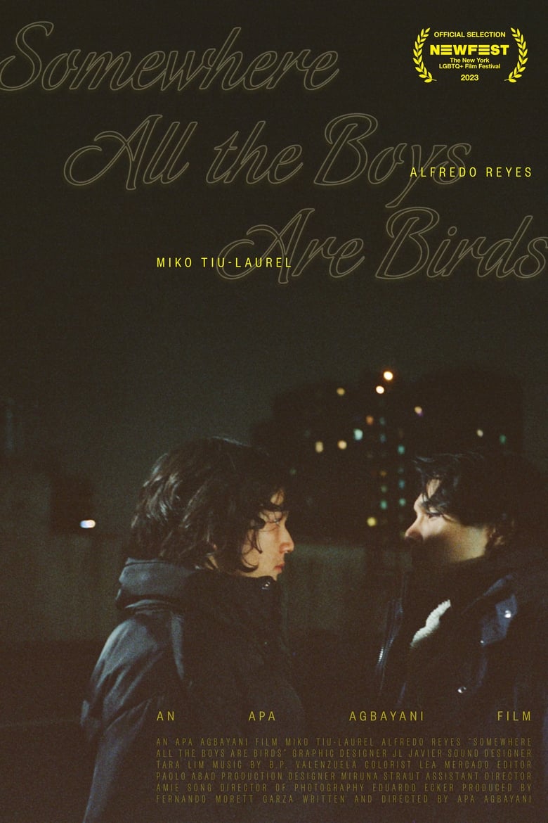 Poster of Somewhere all the boys are birds