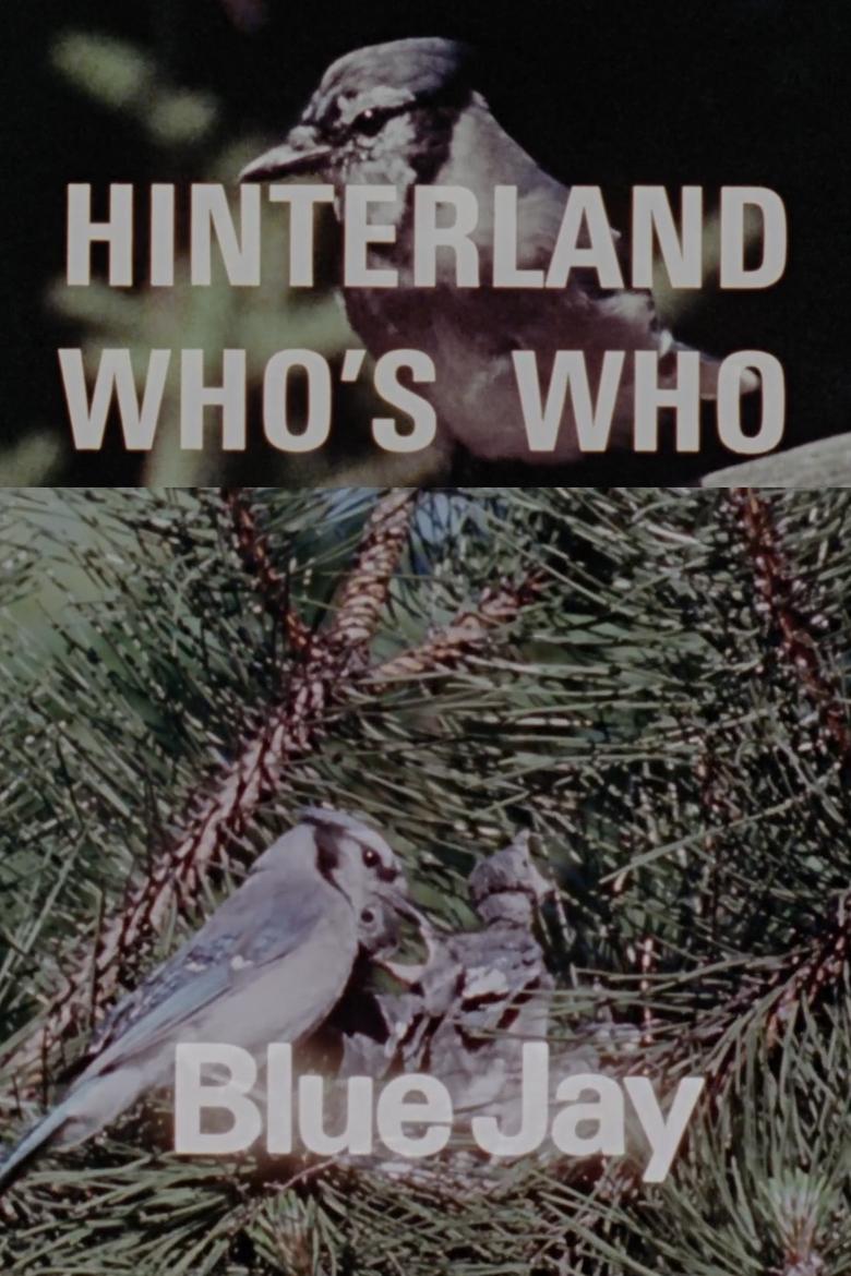 Poster of Hinterland Who's Who: Blue Jay