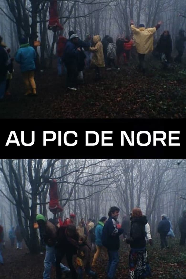 Poster of Au Pic de Nore