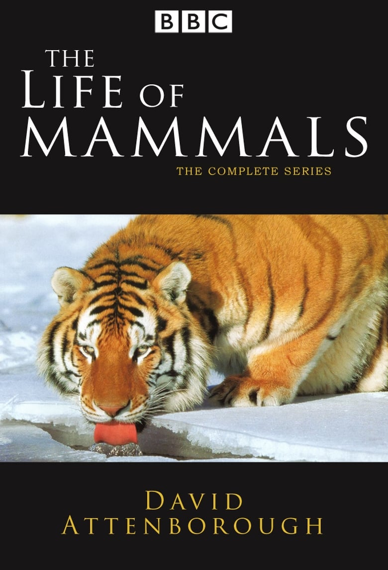 Poster of The Life of Mammals