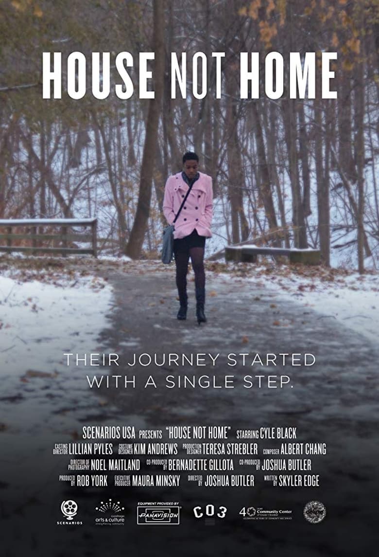 Poster of House Not Home