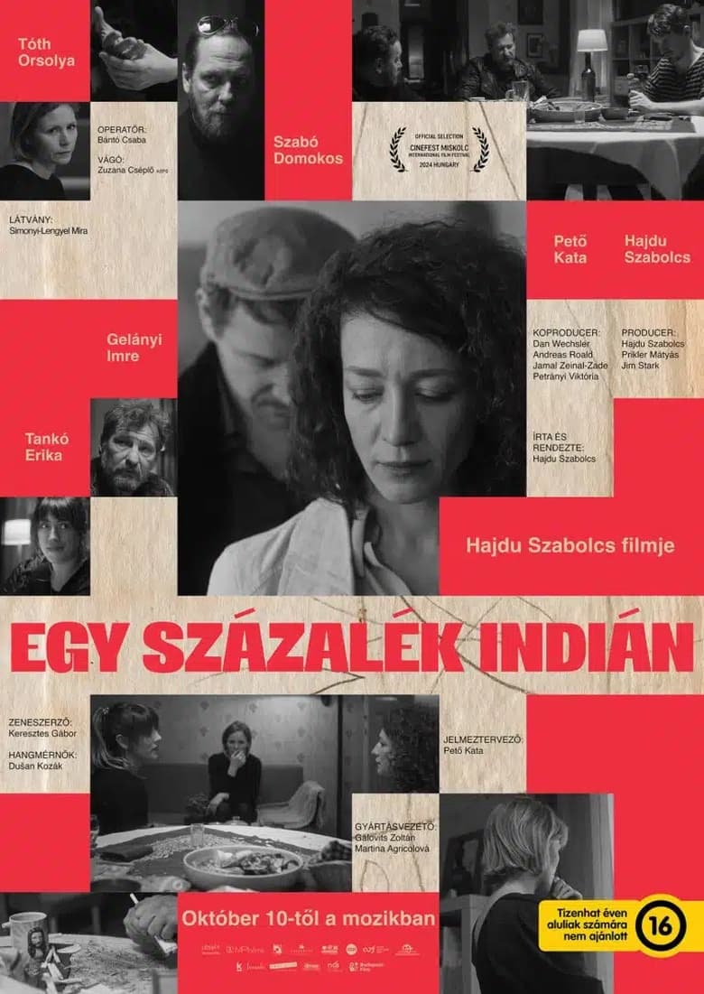 Poster of Egy százalék indián