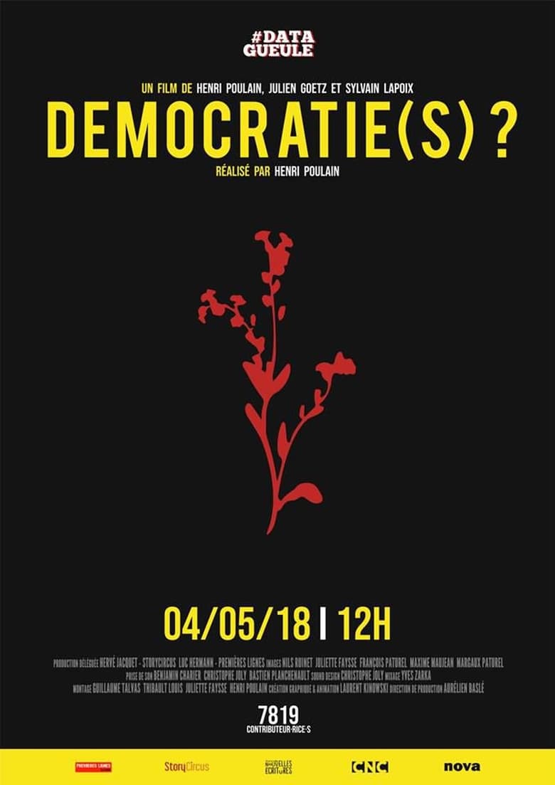 Poster of Democracy (s)?