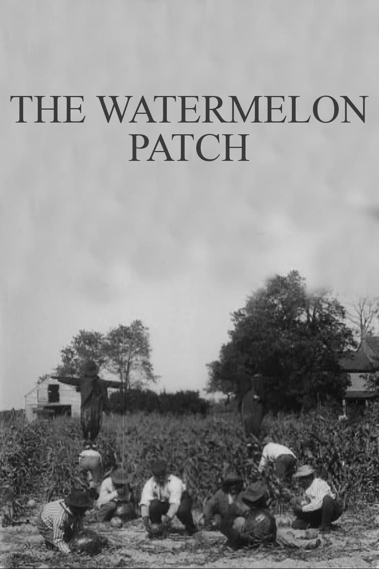 Poster of The Watermelon Patch