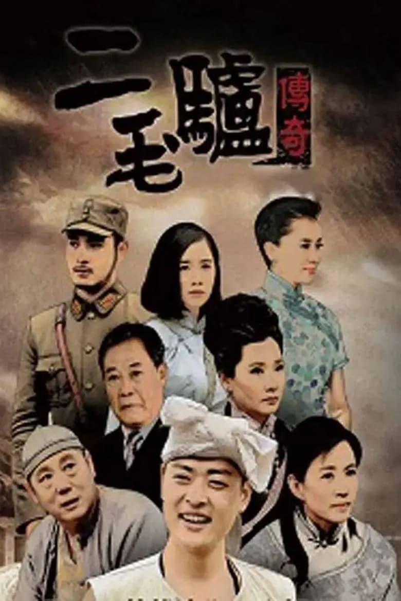 Poster of 二毛驴传奇