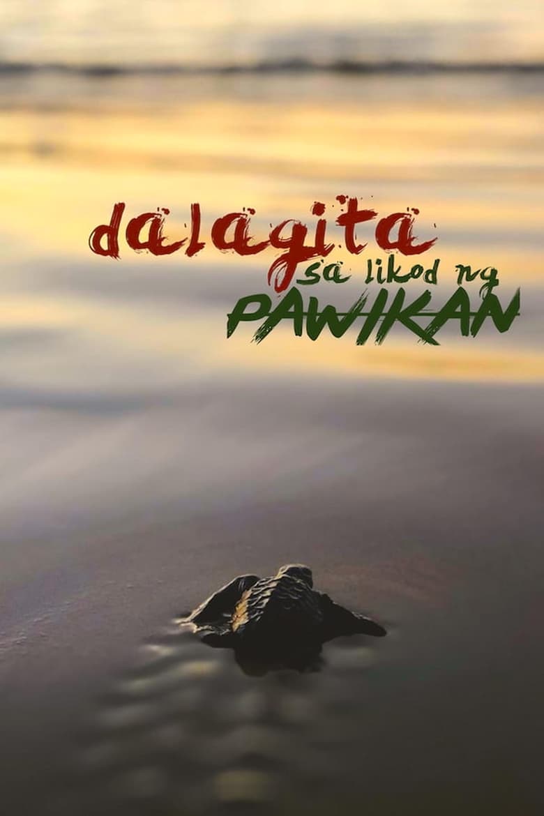 Poster of Dalagita sa Likod Pawikan