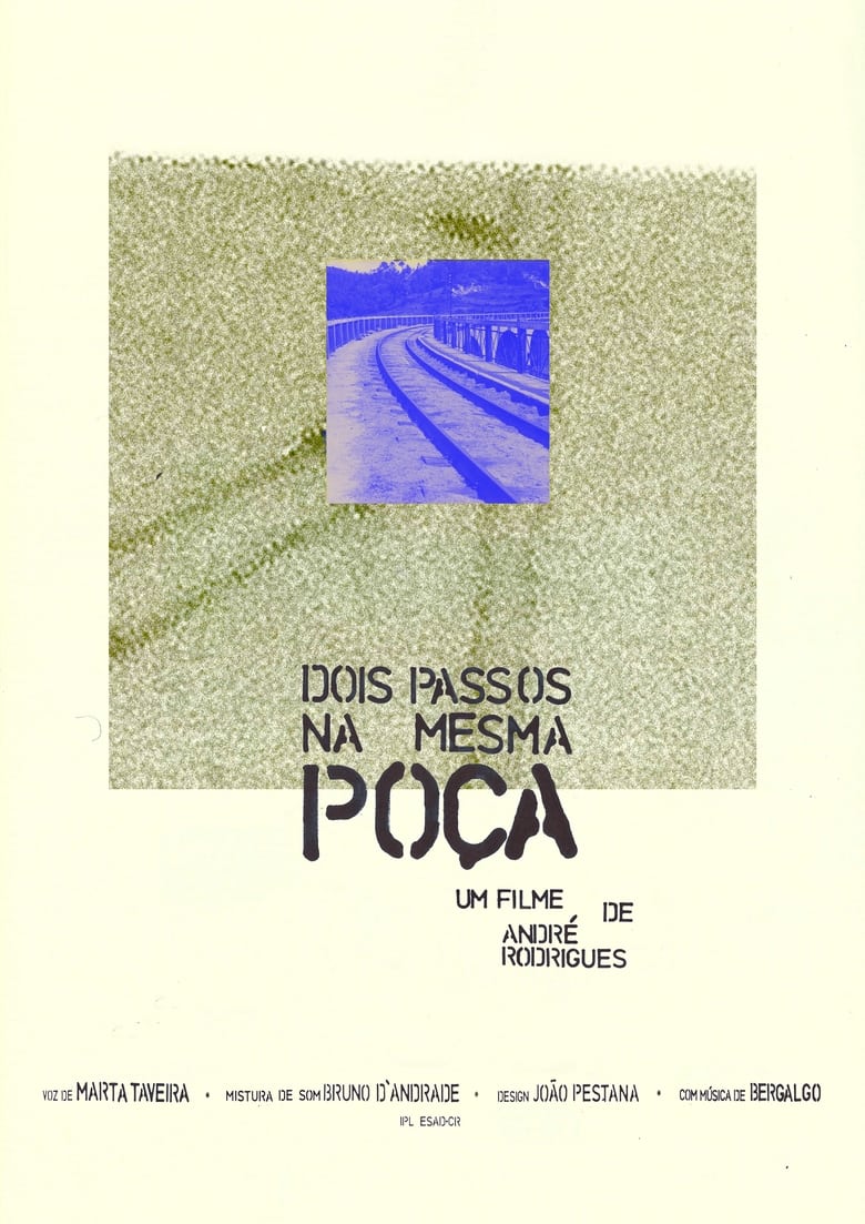 Poster of Dois passos na mesma poça