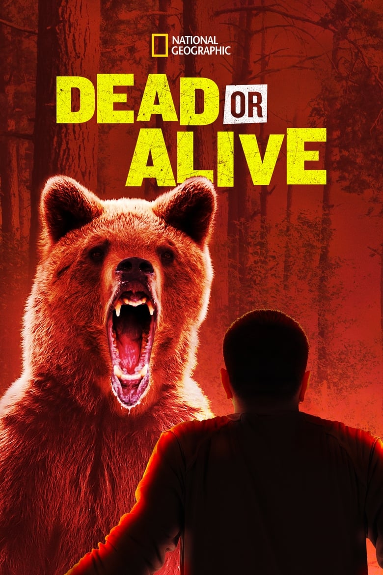 Poster of Dead or Alive