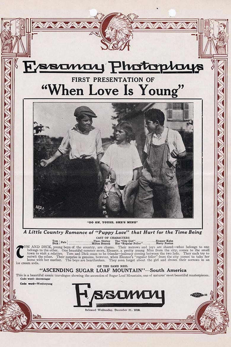 Poster of When Love is Young