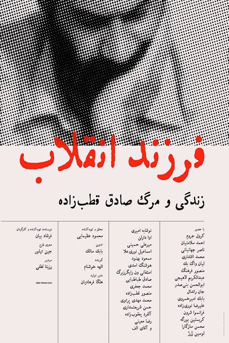 Poster of Son of the revolution