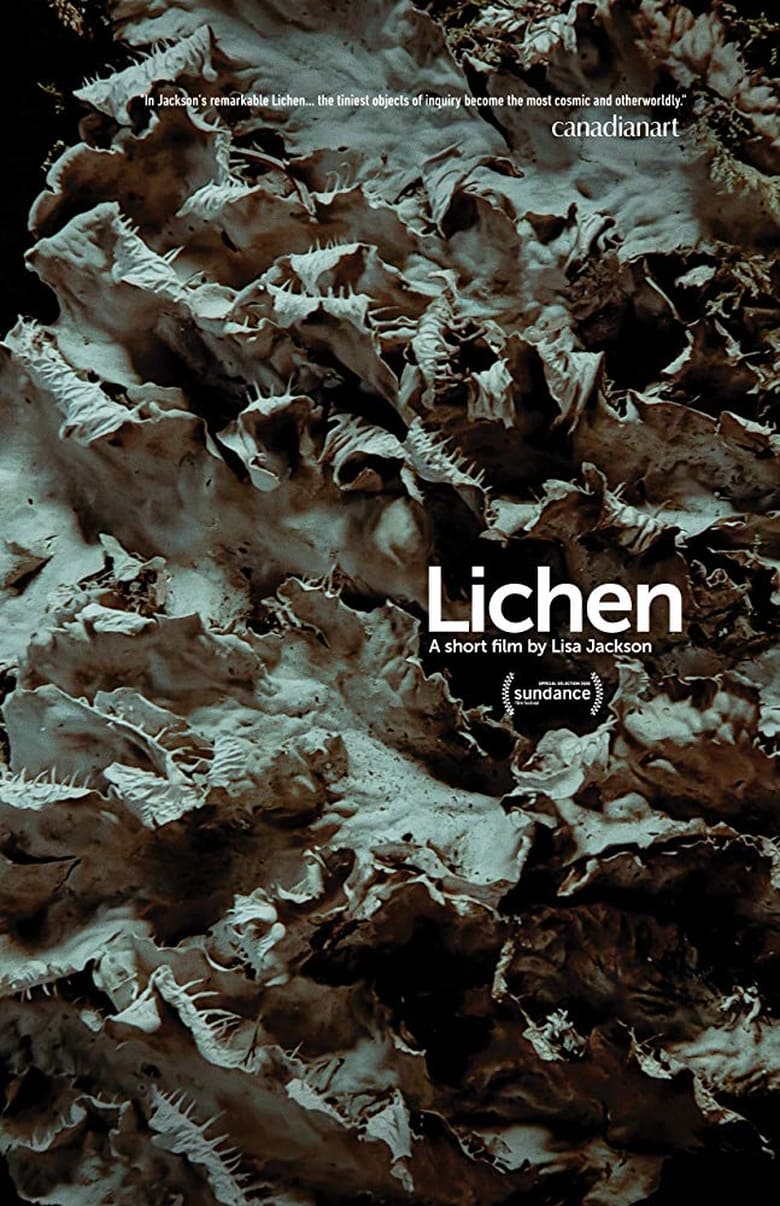 Poster of Lichen