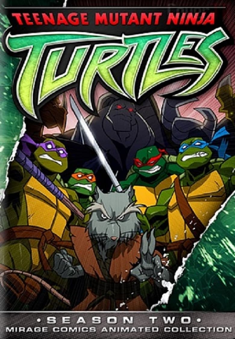 Poster of Episodes in Teenage Mutant Ninja Turtles - Season 2 - Season 2