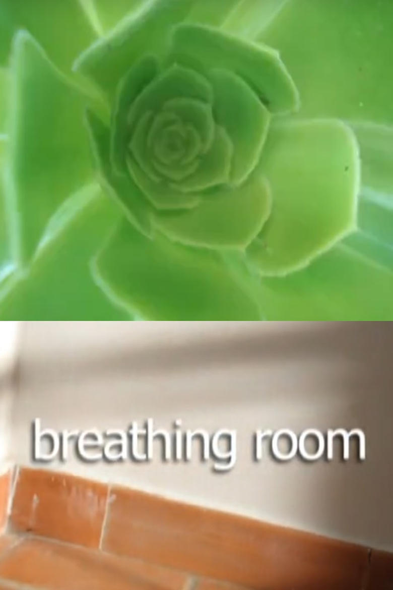 Poster of Breathing Room