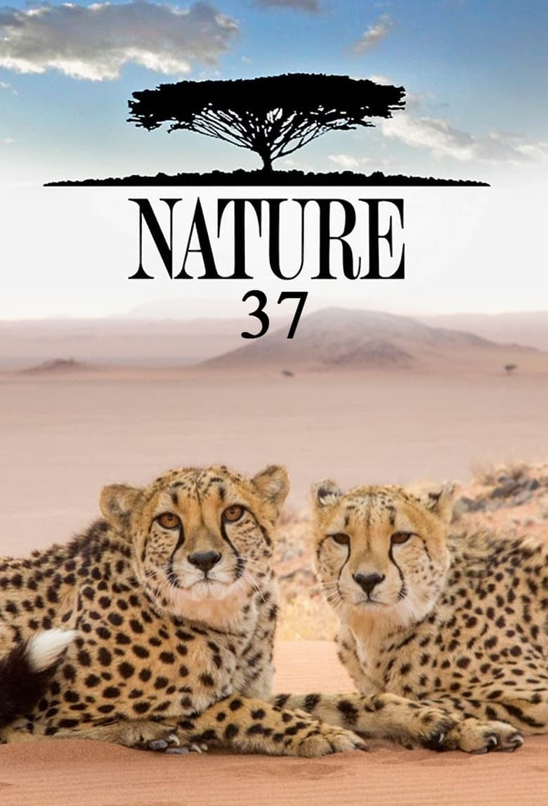 Poster of Cast and Crew in Nature - Season 37 - Episode 7 - Attenborough and the Sea Dragon