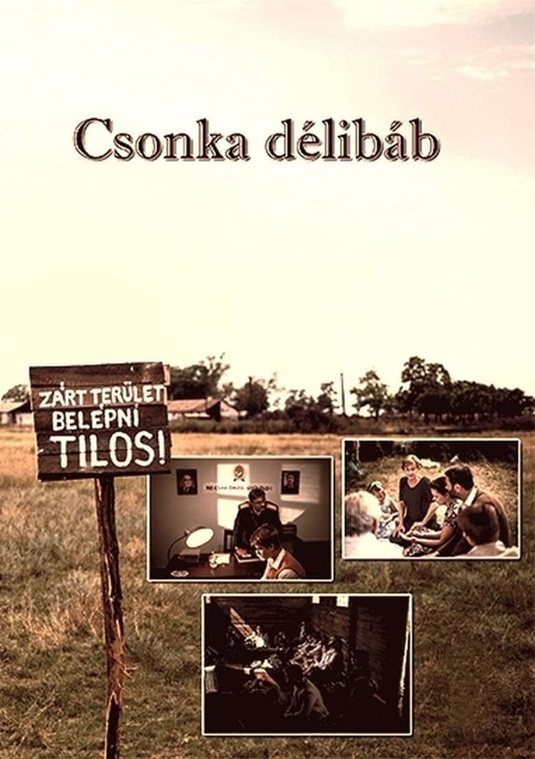 Poster of Csonka délibáb