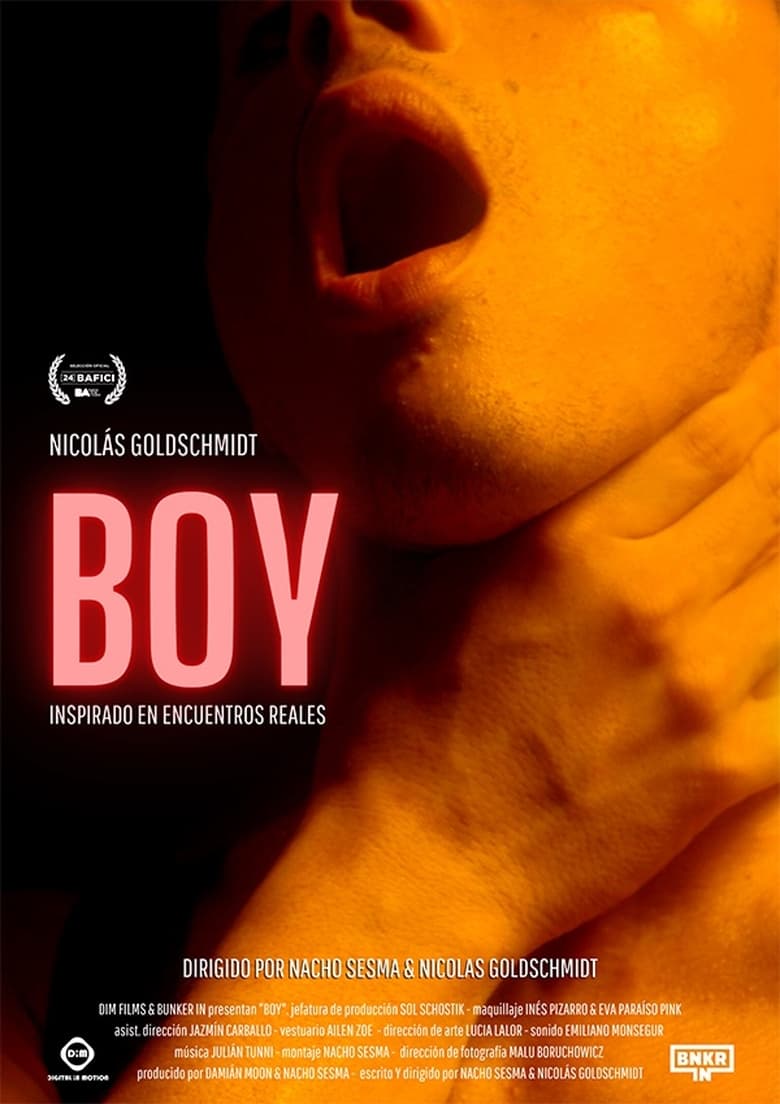 Poster of Boy