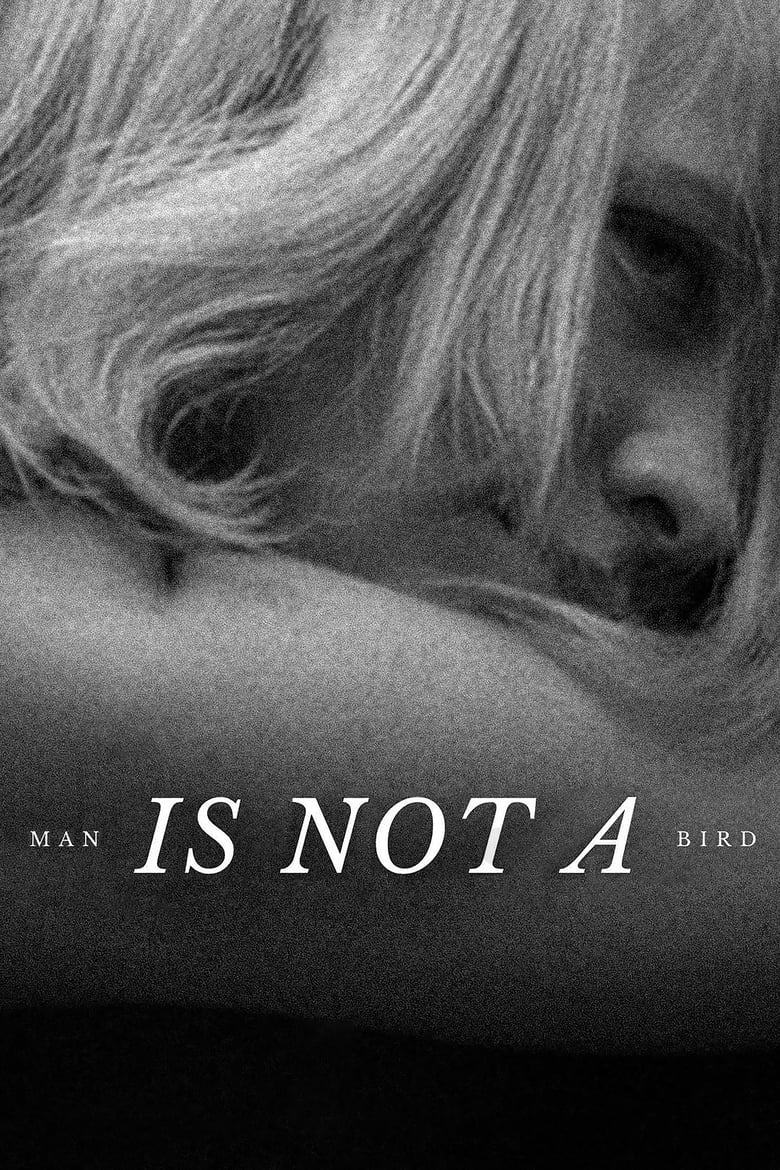 Poster of Man Is Not a Bird