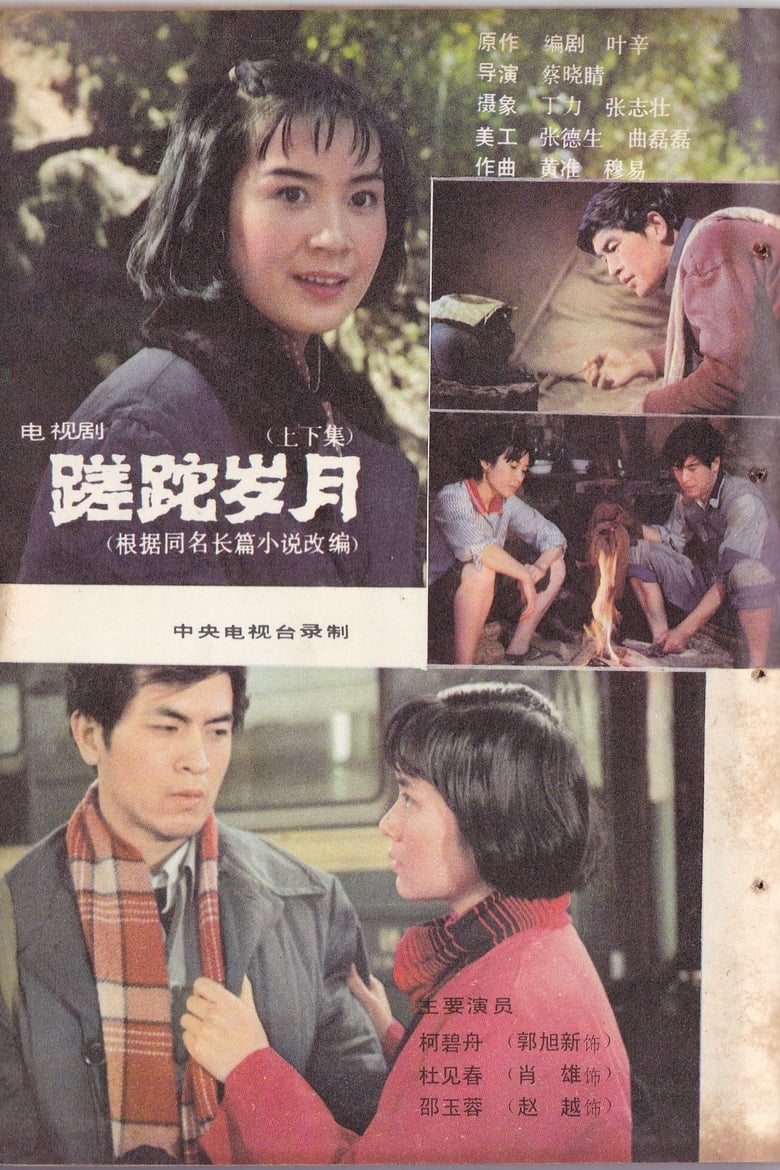 Poster of 蹉跎岁月