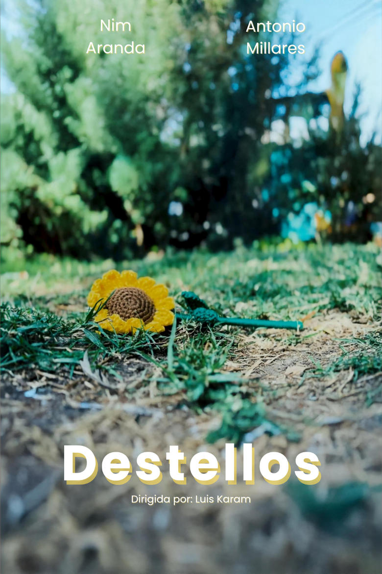 Poster of Destellos