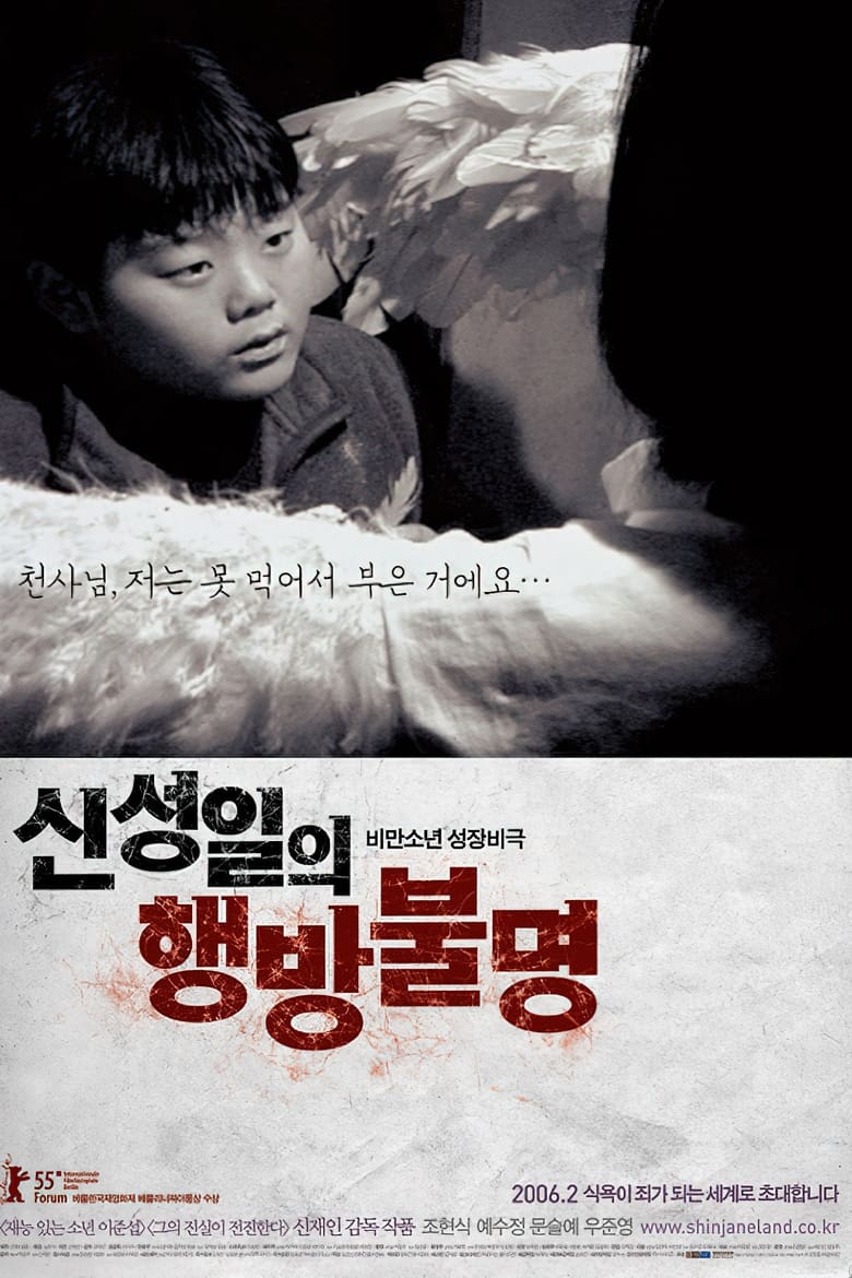 Poster of Shin Sung-il is Lost