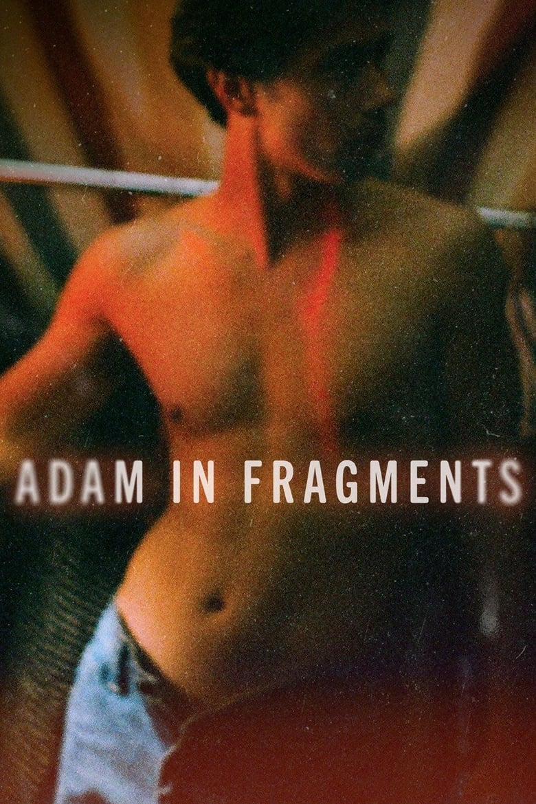 Poster of Adam in Fragments