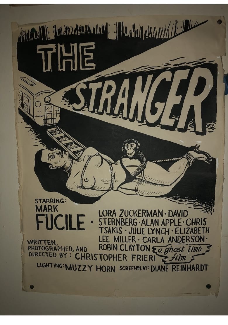 Poster of The Stranger