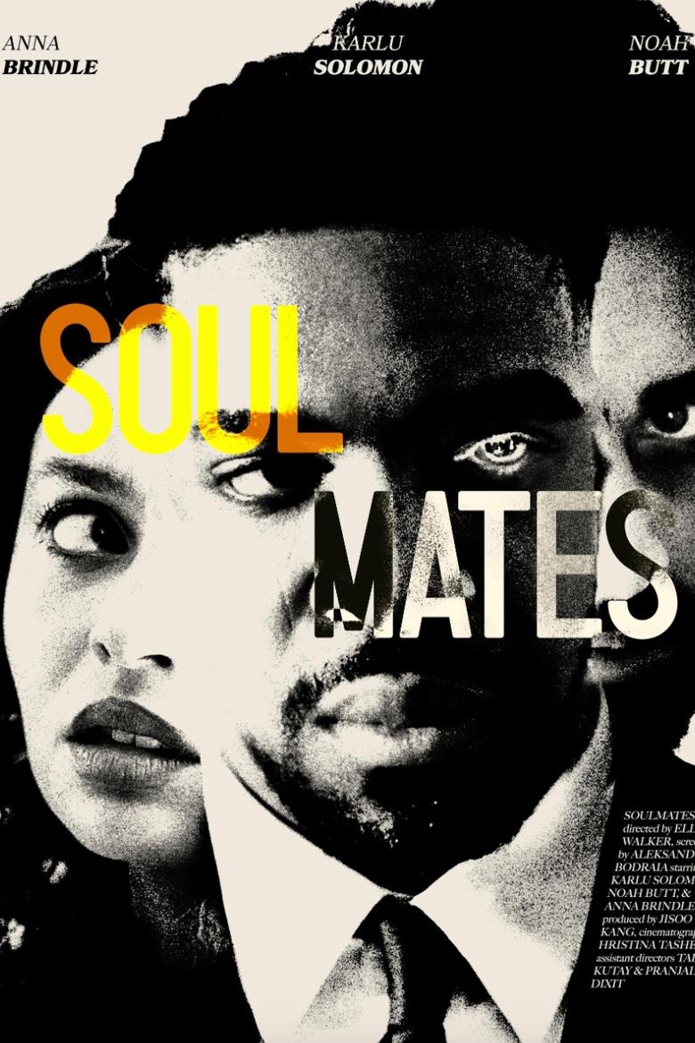 Poster of Soul Mates